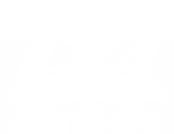 LUBRICANTES TORRES JUÁREZ S.A. DE C.V.